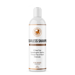 Sugar Cookie Tearless Shampoo